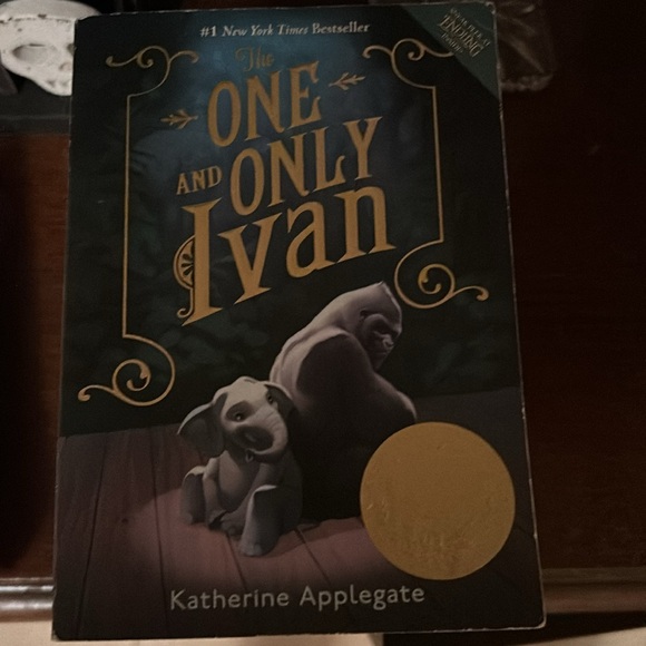 11 Middle school level books - Picture 4 of 12